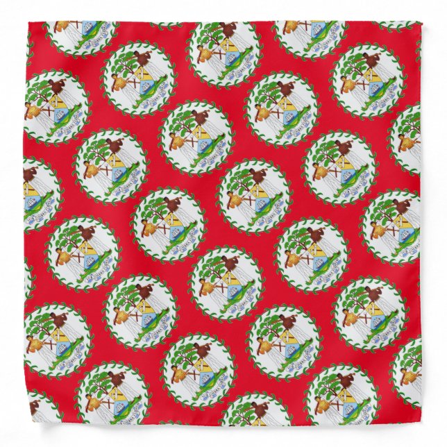 Belize Flag Bandana (Front)