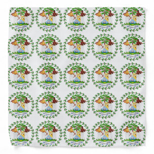 Belize Flag Bandana