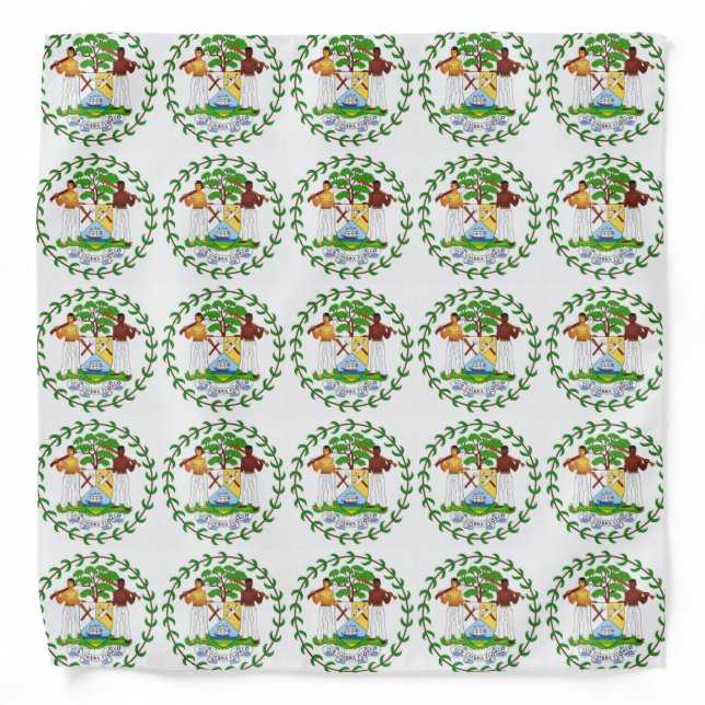 Belize Flag Bandana (Front)
