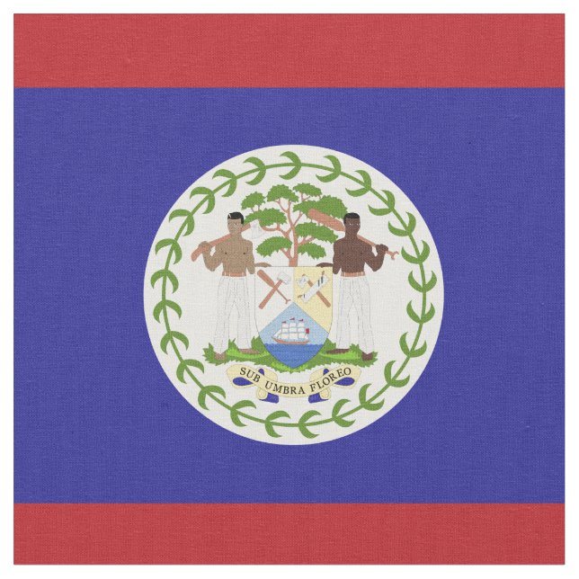 Belize flag fabric (Close Up)