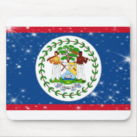 Belize Flag