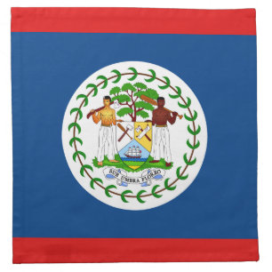 Belize Flag Napkin