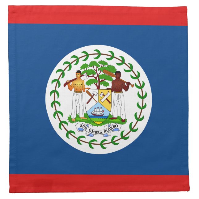 Belize Flag Napkin (Front)