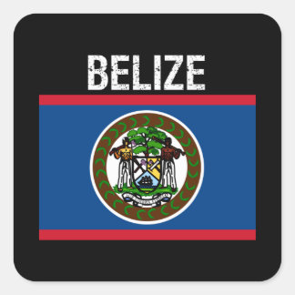 Belize,flag of Belize Square Sticker