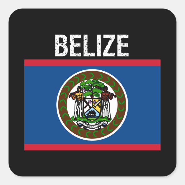 Belize,flag of Belize Square Sticker (Front)