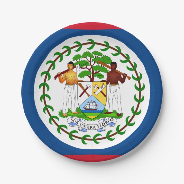 Belize Flag Paper Plates (Front)