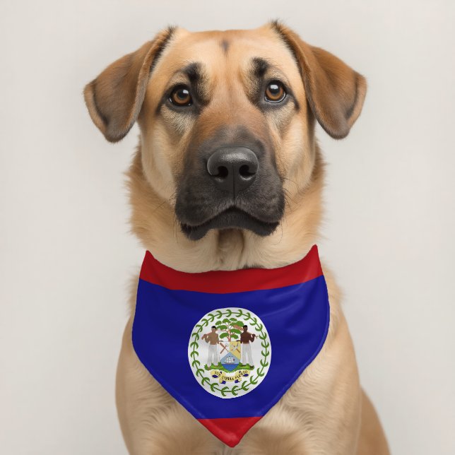 Belize flag pet bandana collar (Dog 2)