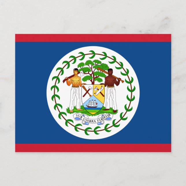 belize flag postcard (Front)