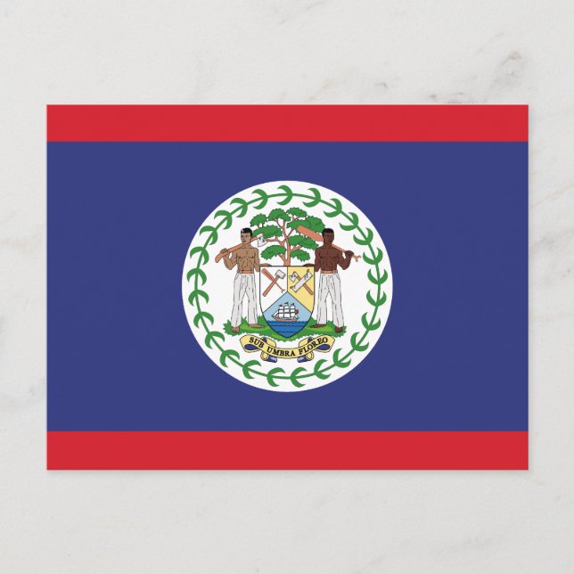 Belize Flag Postcard (Front)