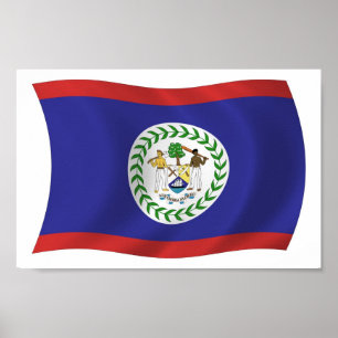 Belize Flag Poster Print