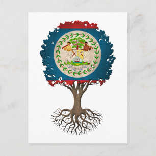 Belize Flag Tree of Life Customizable Postcard