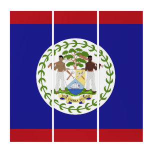 Belize flag triptych