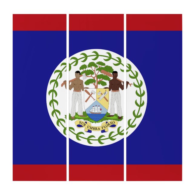 Belize flag triptych (Front)