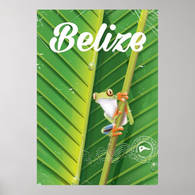 belize Frog vintage cartoon travel poster (Front)
