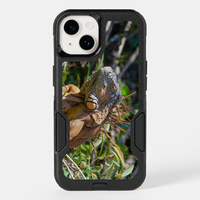 Belize Iguana, Orange Lizard Otterbox iPhone Case (Back)