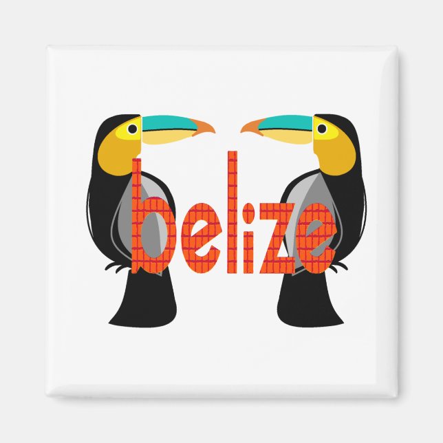 Belize it now magnet (Front)