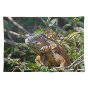 Belize Lizard, Orange Iguana Photography Cloth Placemat