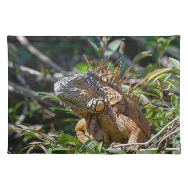 Belize Lizard, Orange Iguana Photography Cloth Placemat (Front)