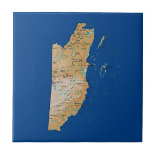 Belize Map Tile