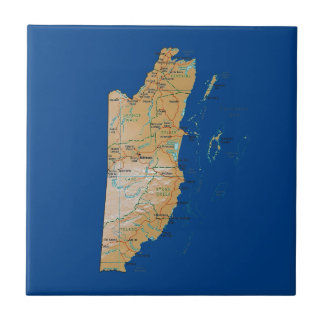 Belize Map Tile