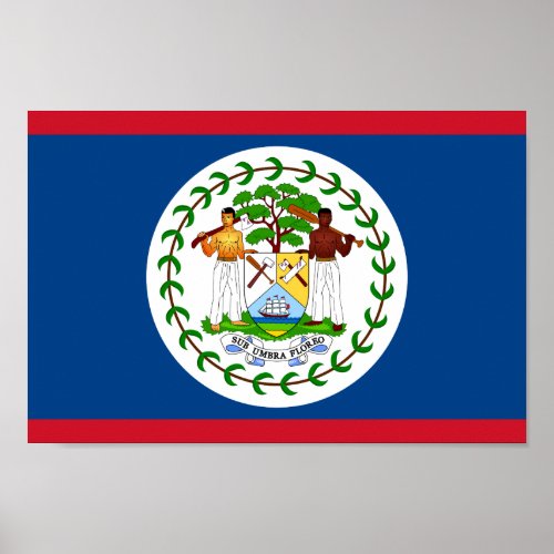 Belize National World Flag Poster