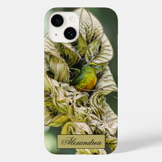 Belize Olive Euphonia Bird Photography Case-Mate iPhone Case (Back)
