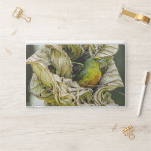 Belize Olive Euphonia, Green Bird Photography HP Laptop Skin