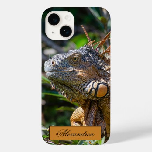 Belize Orange Iguana Lizard Photography Case_Mate iPhone 14 Case