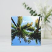 Belize Palm Trees (Standing Front)