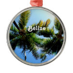 Belize Palm Trees Metal Ornament