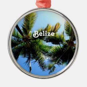 Belize Palm Trees Metal Ornament