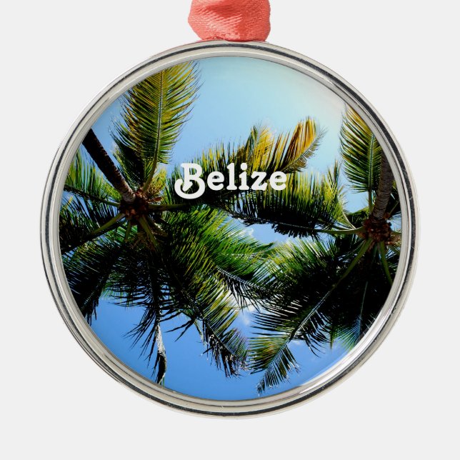 Belize Palm Trees Metal Ornament (Front)