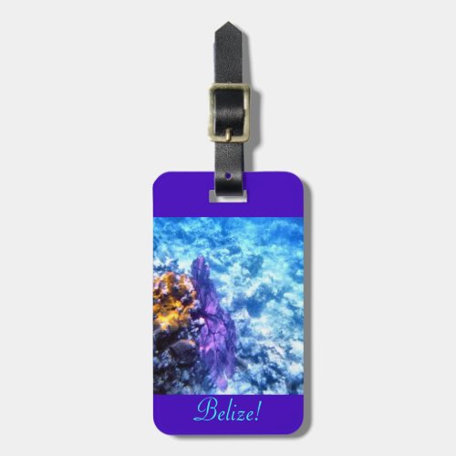 Belize Personalized Luggage Tag