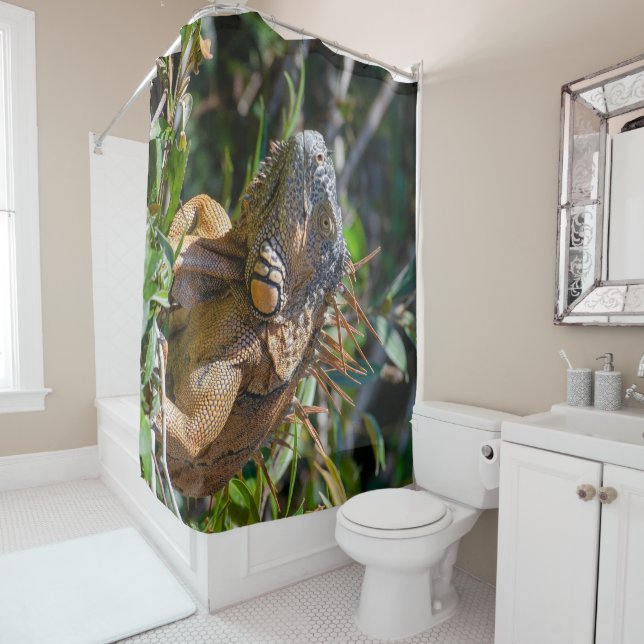 Belize Photography, Iguana Lizard Shower Curtain (In Situ)