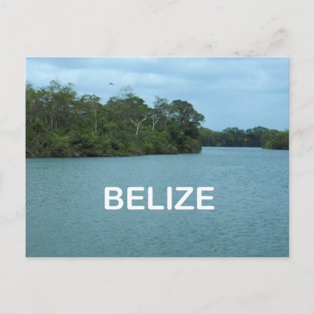 Belize Postcard (Front)