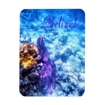 Belize! Purple Sea Fan Premium Magnet by h2oWater at Zazzle