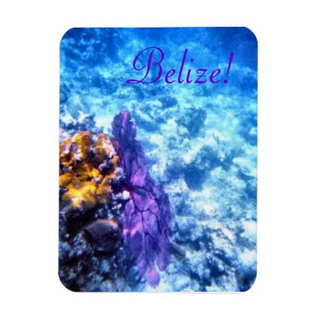 Belize! Purple Sea Fan Premium Magnet