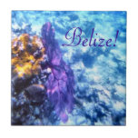 Belize! Purple Sea Fan  Tile at Zazzle