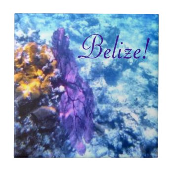 Belize! Purple Sea Fan  Tile by h2oWater at Zazzle
