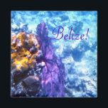 Belize Sea Fan Magnet<br><div class="desc">Underwater scene - a purple sea fan waves near the edge of the barrier reef off the coast of Belize</div>