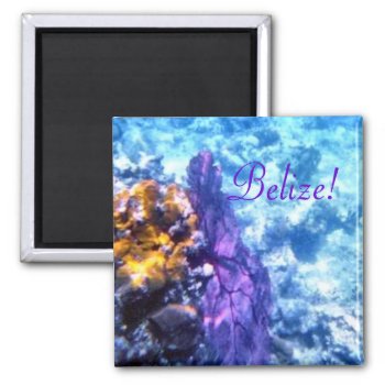 Belize Sea Fan Magnet by h2oWater at Zazzle