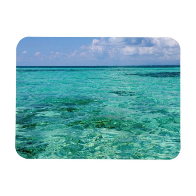 Belize, Stann Creek, Southwater Cay Magnet (Horizontal)