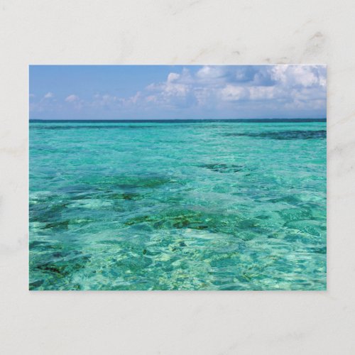 Belize Stann Creek Southwater Cay Postcard