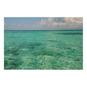 Belize, Stann Creek, Southwater Cay Wood Wall Art