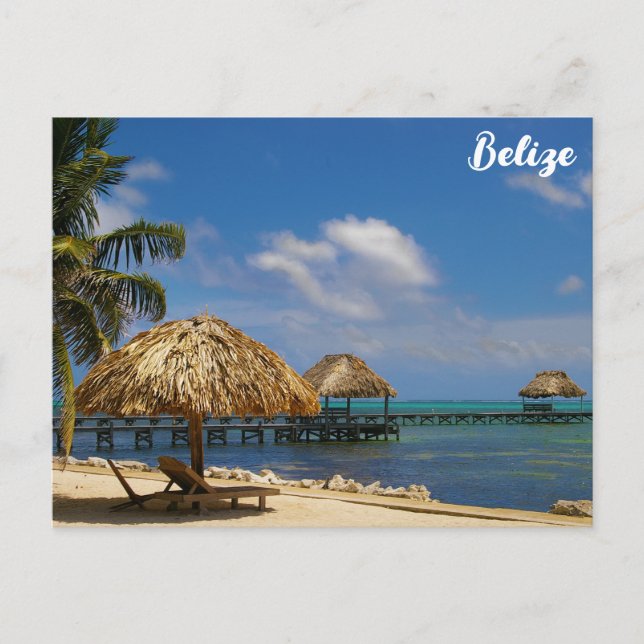 Belize Tropical Beach Ambergris Caye Postcard (Front)