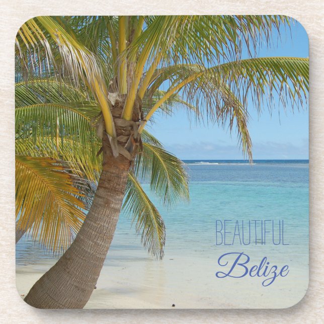 Belize Tropical Palm Tree Beach Scene Photograph Beverage Coaster (Front)