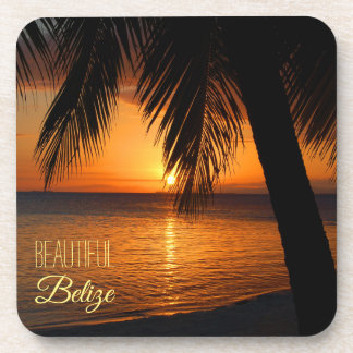 Belize Tropical Palm Tree Sunset Photograph Beverage Coaster