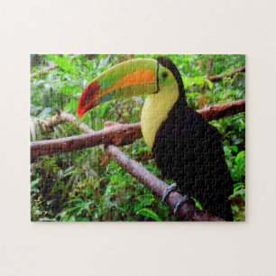 Belize Tucon Birds. Jigsaw Puzzle