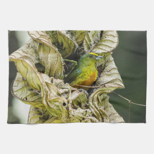 Belize Wildlife: Olive Euphonia Bird Photography Kitchen Towel