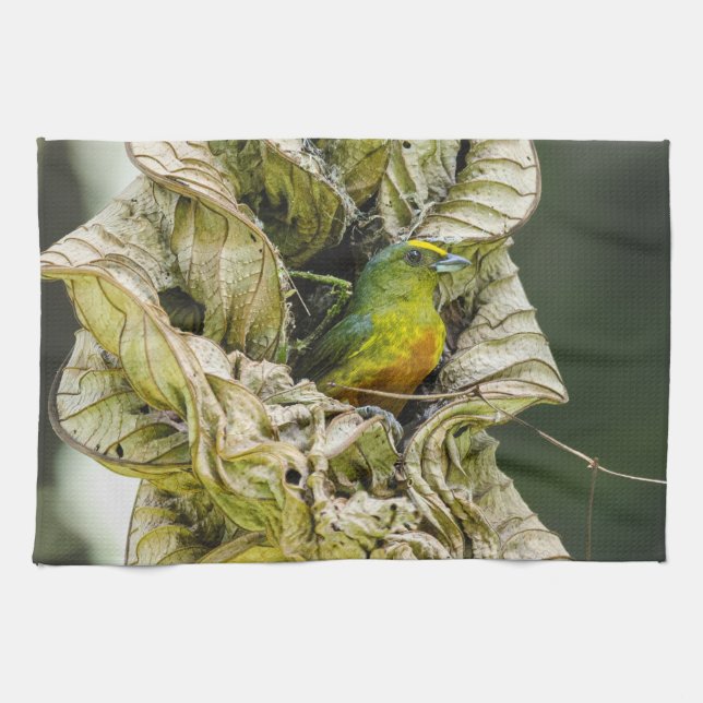 Belize Wildlife: Olive Euphonia Bird Photography Kitchen Towel (Horizontal)